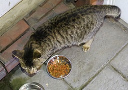 5DA_9329-19.jpg