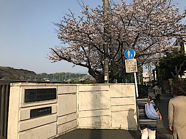 rblog-20180329185446-09.jpg