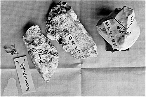 ナイロンと登山 | 耳（ミミ）とチャッピの布団 - 楽天ブログ