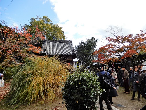 大智寺20171112.JPG