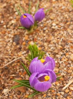 DSC01373.JPG