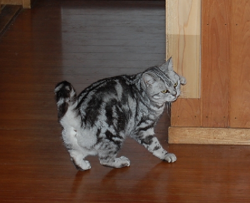 DSC_0032.JPG