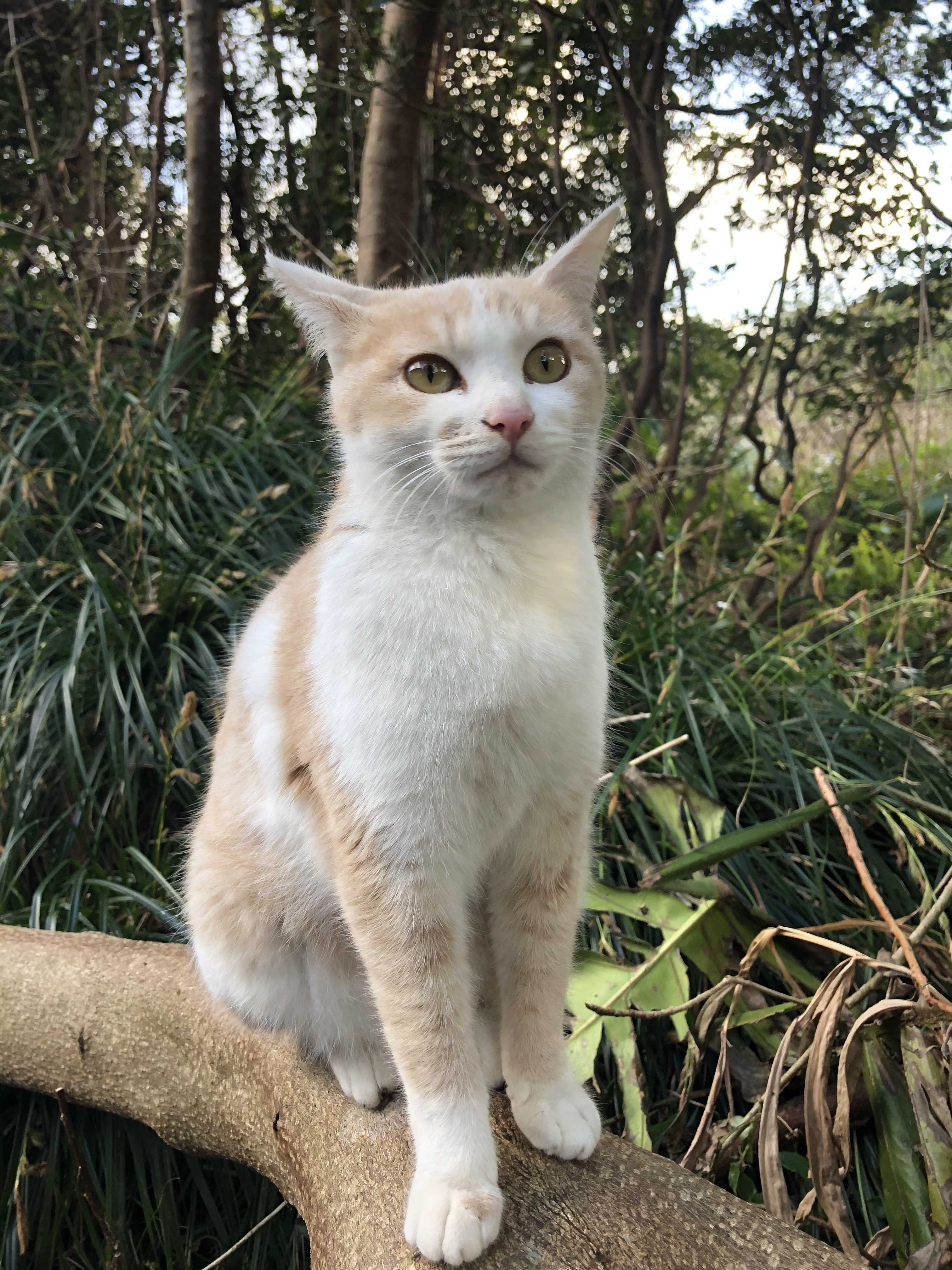 21年02月日の記事 かぎよし 楽天ブログ