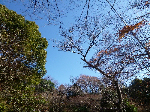 P1140482(1).JPG