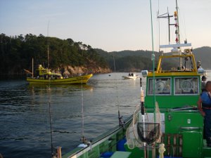 03.JPG