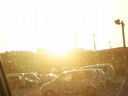 IMG_20141008_170650-p.jpg
