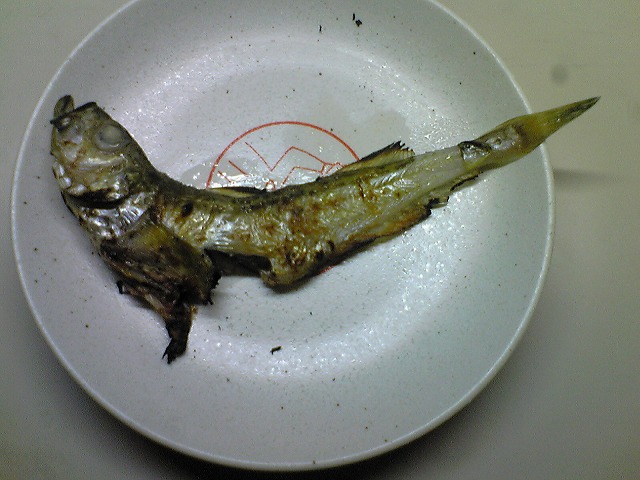 はたはた焼き