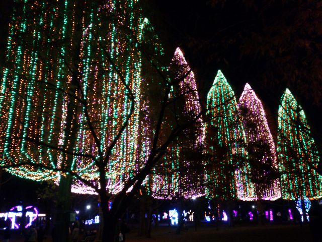 2012-12-13 18.53.19.jpg