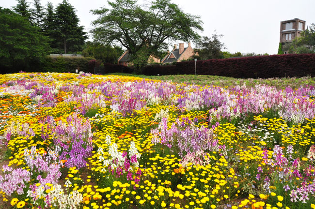 花園２