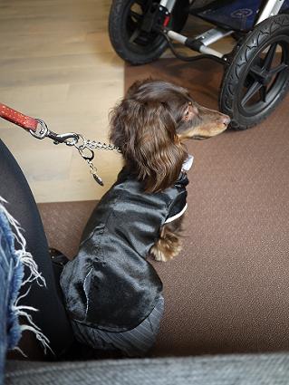 P1010757.JPG