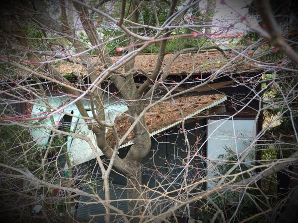 rblog-20160327104232-02.jpg