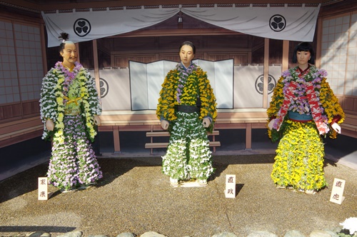 湯島天神菊まつり