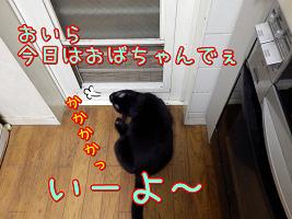 鈴おばさんでいい.JPG