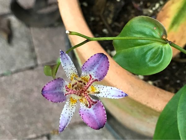 rblog-20181108170243-05.jpg