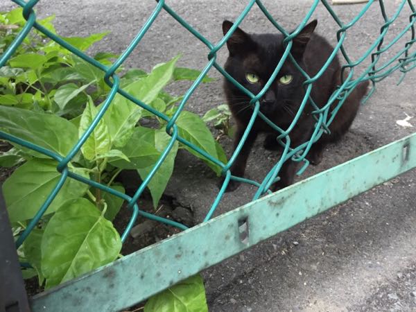 rblog-20160716190641-02.jpg