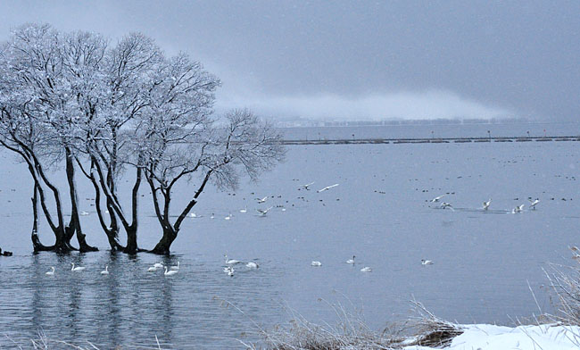 雪５