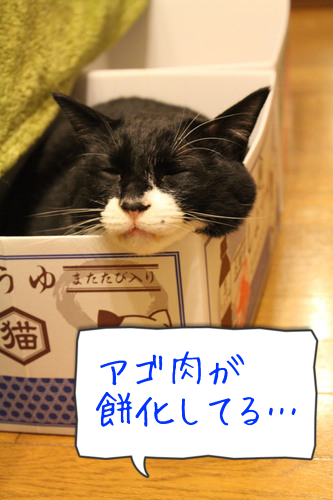 udOFMpSe1pnmIyH1387506583_1387506872.png