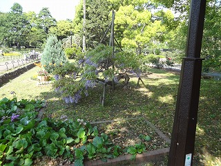 DSC05027.jpg