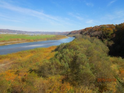 IMG_3221.jpg