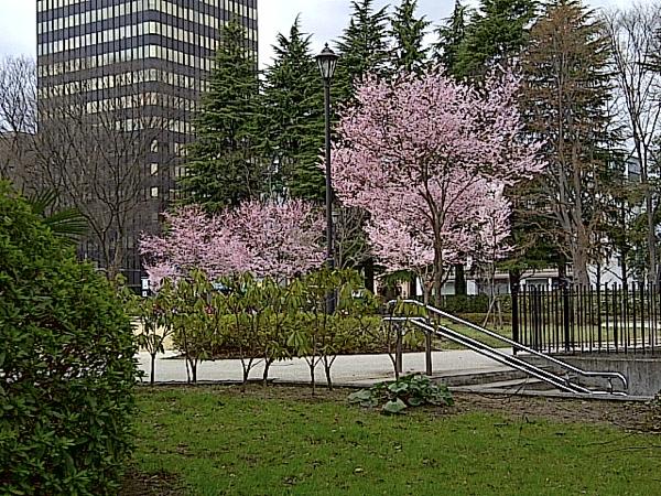 th_IMG-20120419-00108.jpg