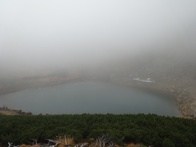 濃霧