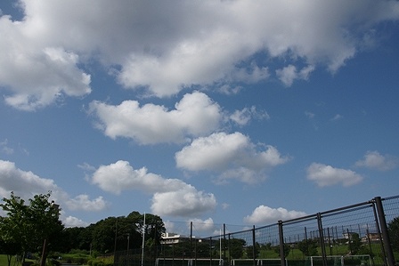 DSC03748.jpg
