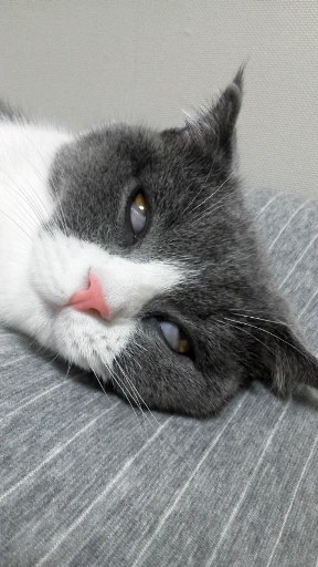 20140927105651.jpg