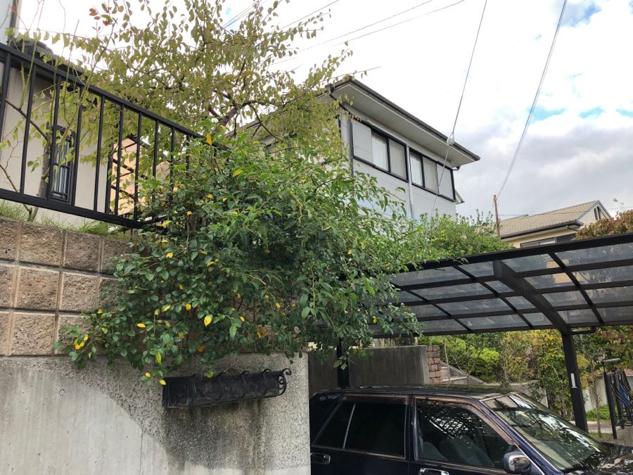 rblog-20181007161527-02.jpg