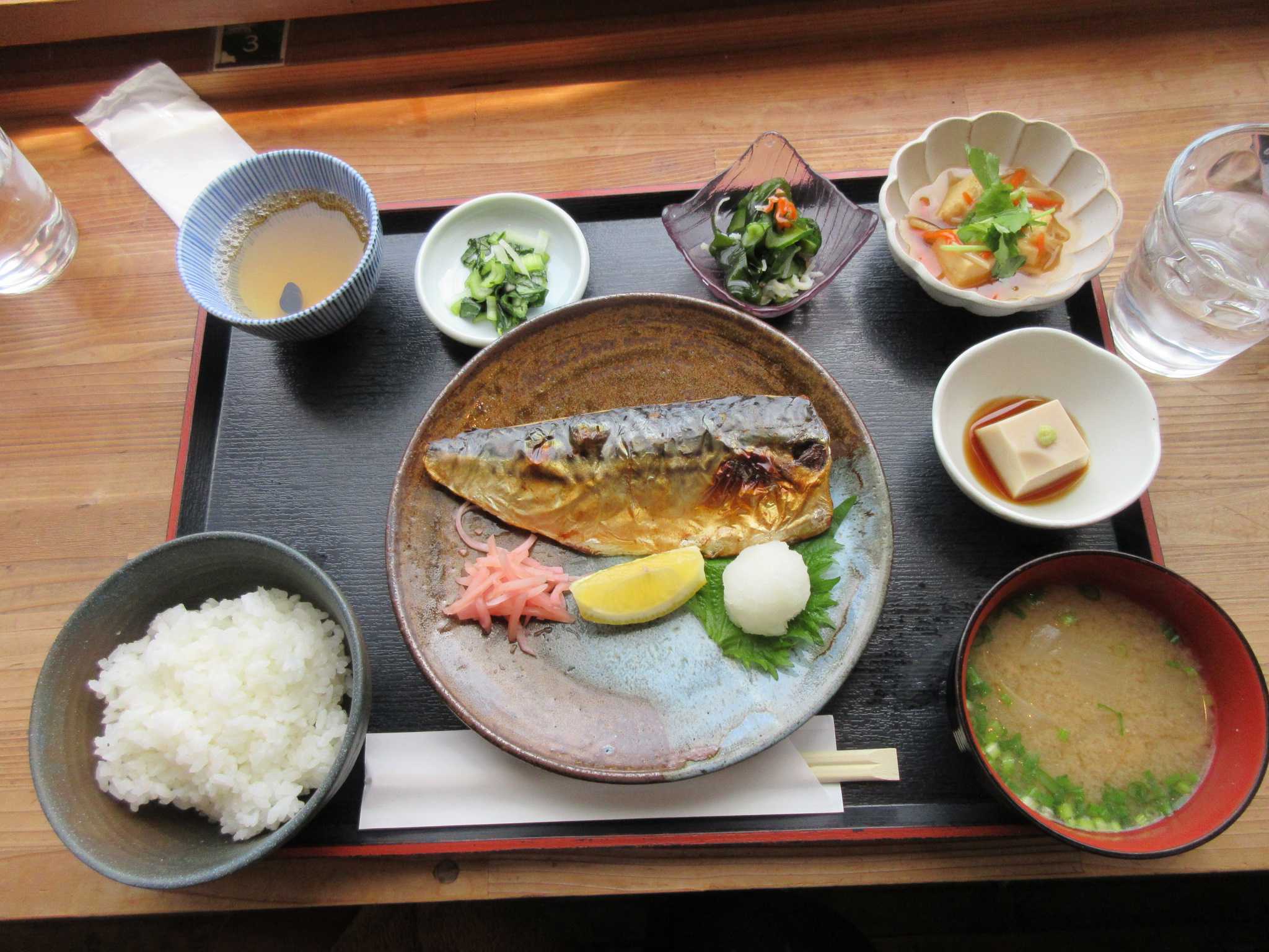 ディモルフォセカの育て方 篠山のくもべのレストランで食事 | ☆狭い庭