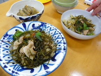 P1150553