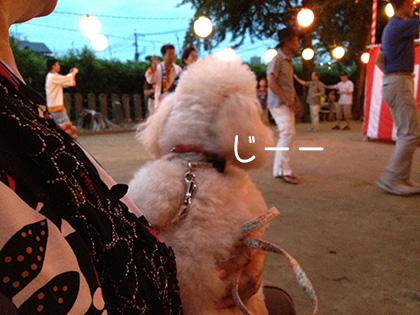 20130804_03.jpg