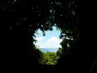 s-P1020712.jpg