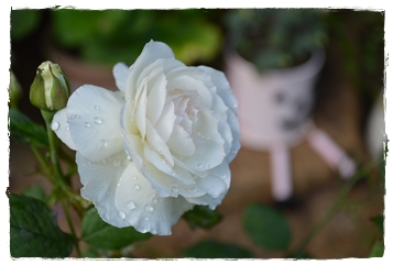 2012年7月 006.jpg