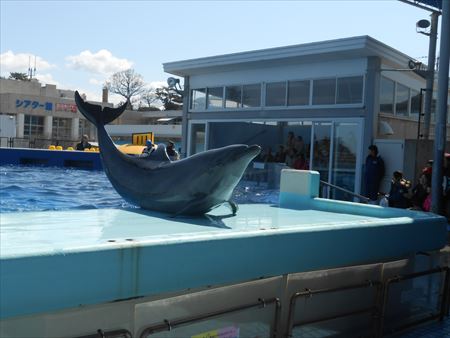 越前松島水族館