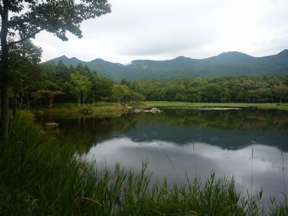 P1100033.JPG