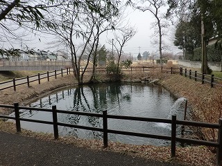 青淵の池