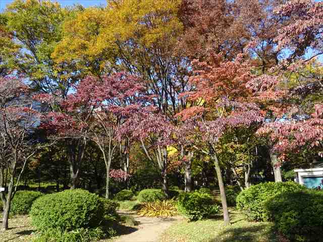 DSC07671_R.JPG