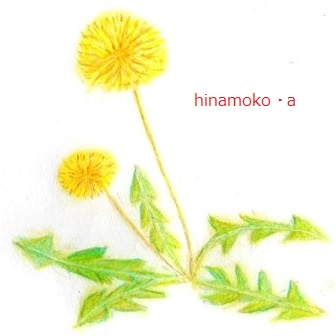 タンポポ1.jpg