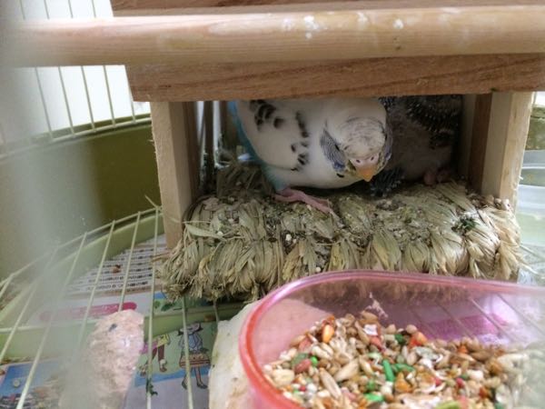 rblog-20150409143041-04.jpg