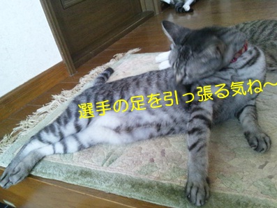 20120829_4.jpg
