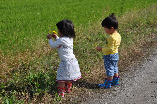 双子の孫