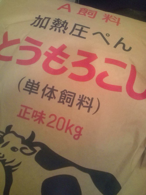 20120301190118.jpg