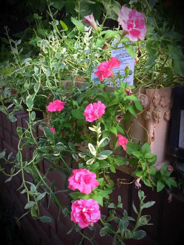 rblog-20160731173203-04.jpg