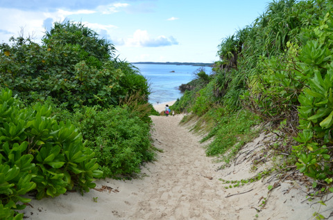 DSC_2476.JPG