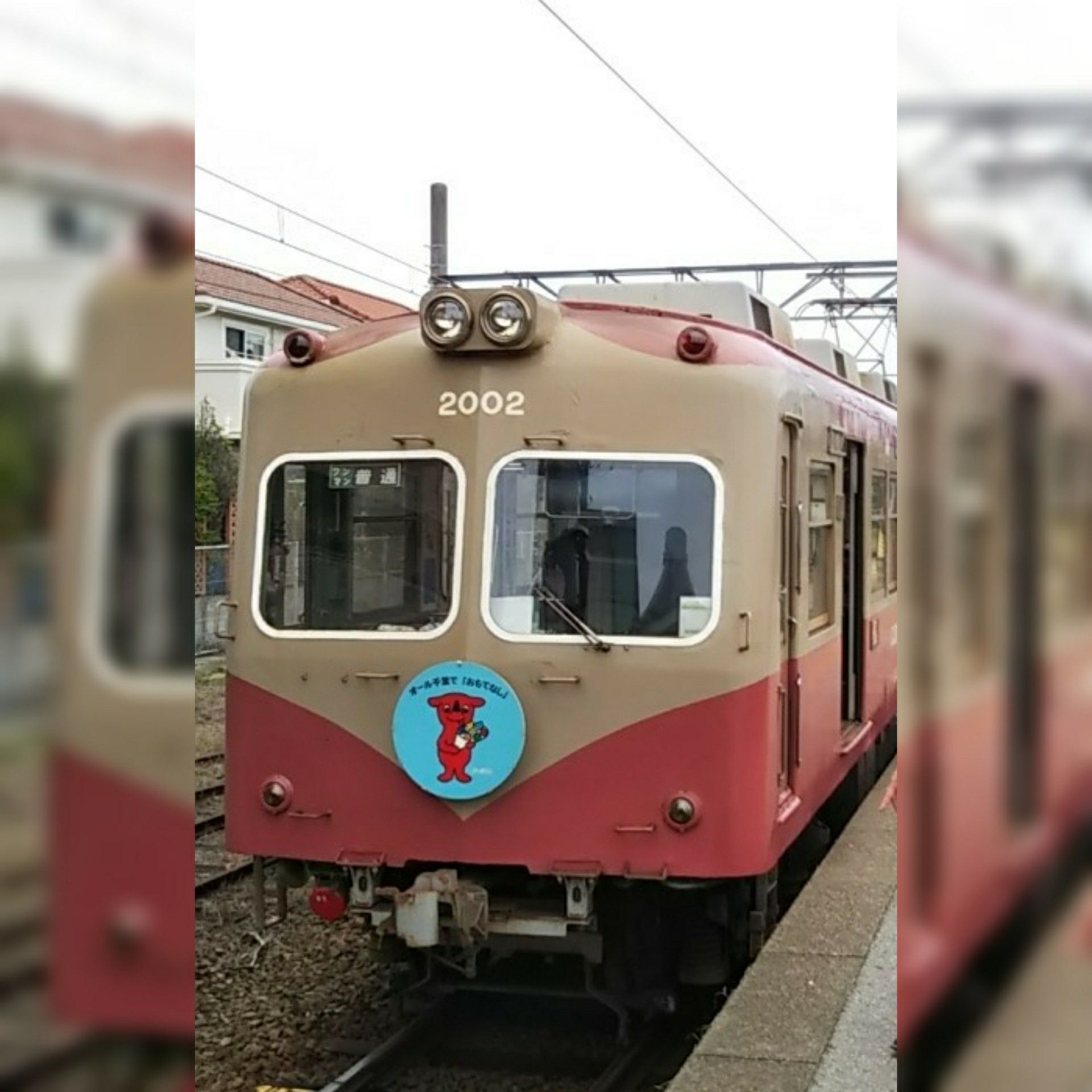 銚子 ぎょ魚蔵部  龍ケ崎飲み屋探訪 - 楽天ブログ