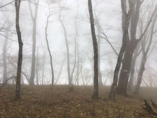 rblog-20181117172606-00.jpg
