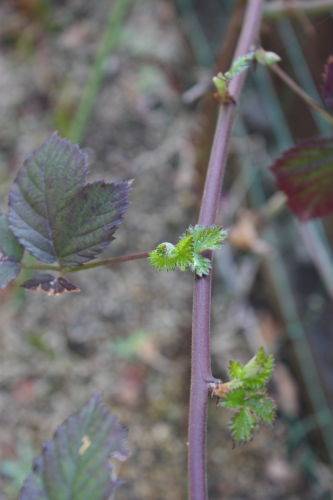 2015040504.JPG