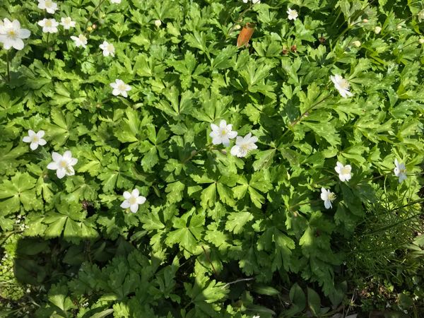 rblog-20180329182338-05.jpg