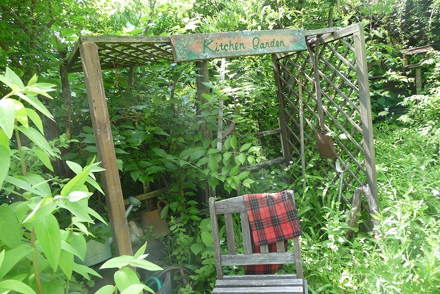 P1030958ss.jpg