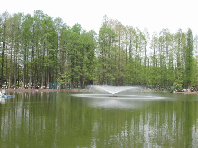 別所沼公園_1018.jpg